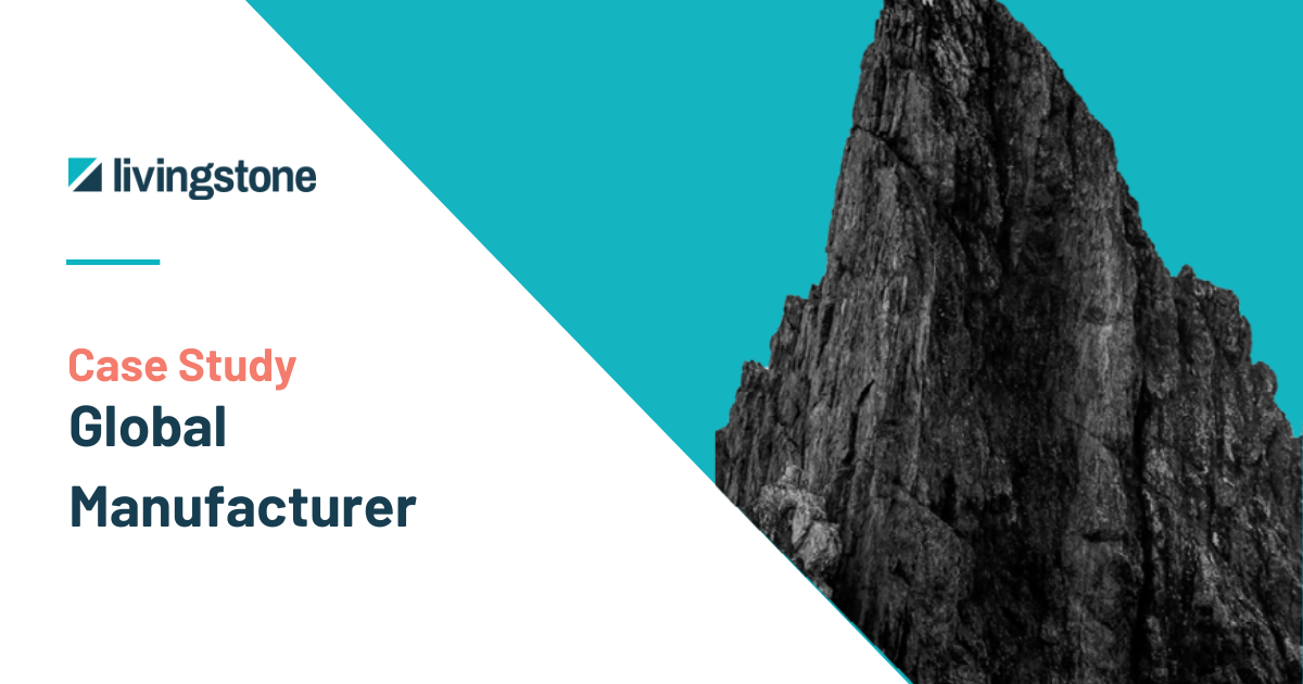 Case Study: Global Manufacturer