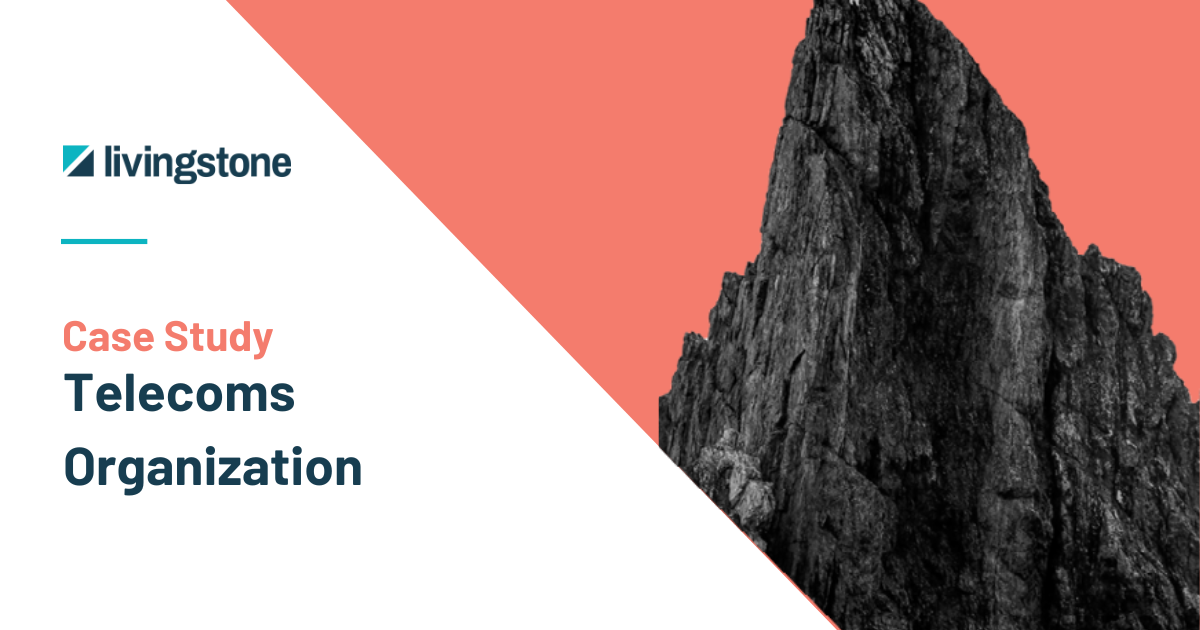 Telecoms Organization case study
