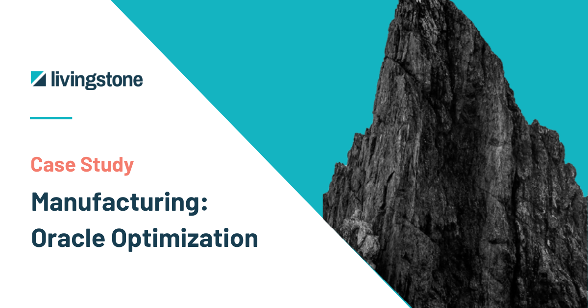 Case Study: Manufacturing