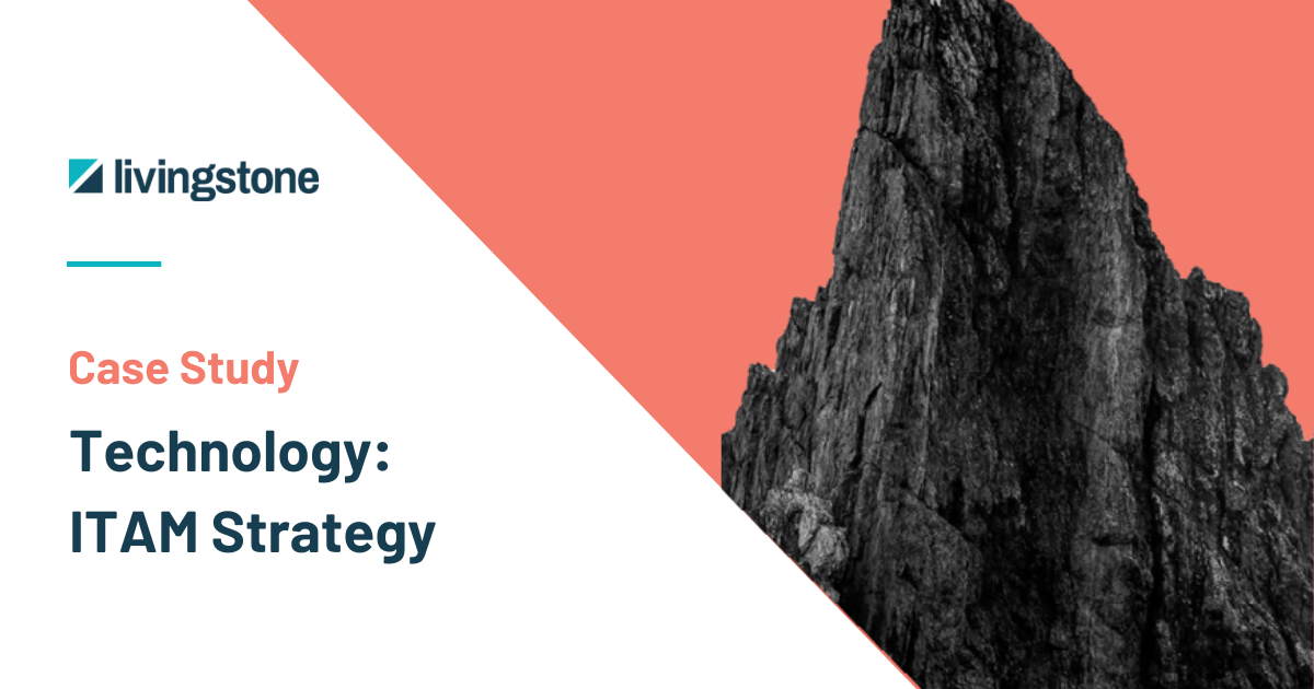Case Study_ Technology ITAM Strategy